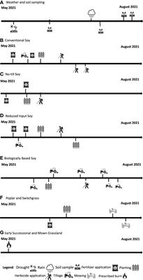 Sensitive Measures of Soil Health Reveal Carbon Stability Across a Management Intensity and Plant Biodiversity Gradient
